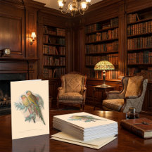 Illustration d'oiseaux anciens, oiseaux tropicaux