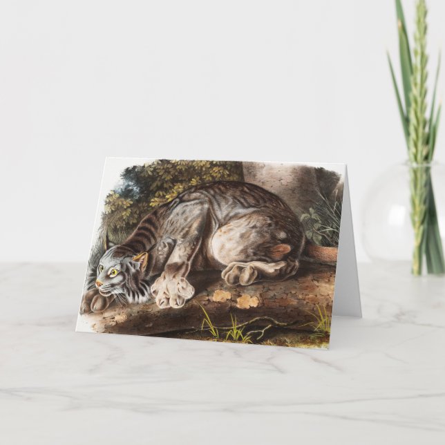 Carte Illustration du Lynx du Canada (Lynx Canadensis) (Devant)