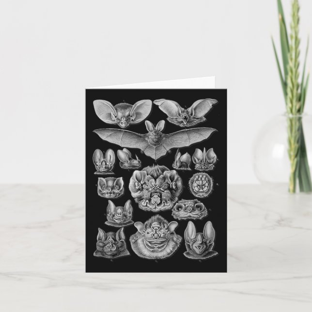 Carte Illustration scientifique de chauves-souris Dessin (Devant)
