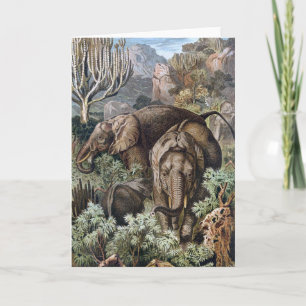 Carte Illustration vintage de 1900 Éléphants d'Afrique L