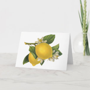 Carte Illustration vintage de citrons
