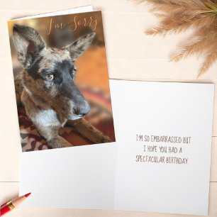 Carte I'm Sorry Side Eye Cattle Dog Belated Birthday