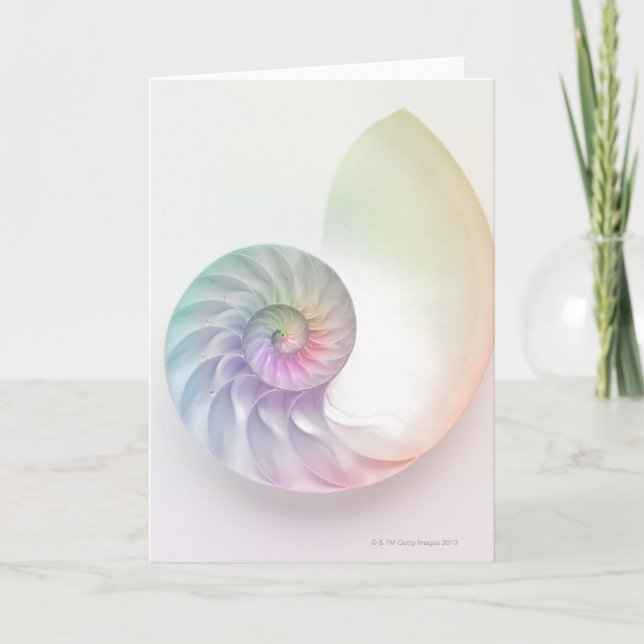 Carte Image colorée artistique de nautilus (Devant)