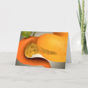 Carte Image conceptuelle de pancréas et d'estomac