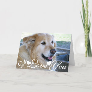 Carte Image de photo de golden retriever je t'aime