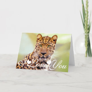 Carte Image de photographie de léopard je t'aime
