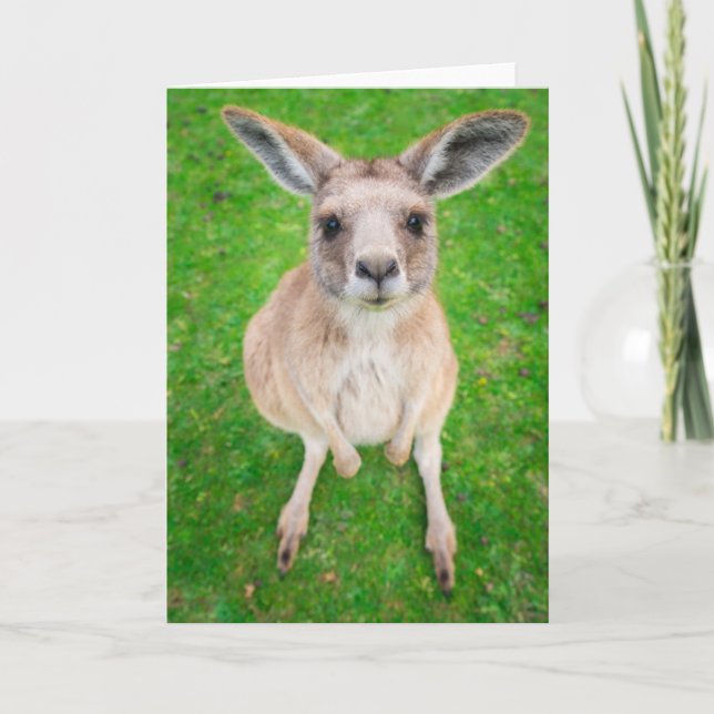 Carte Images Getty | Baby Kangaroo (Devant)