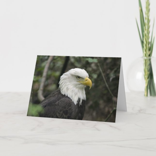 Carte IMG_0673-eagle_5x7 (Devant)