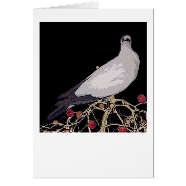 Carte impériale de pigeon de Torresian (Devant)