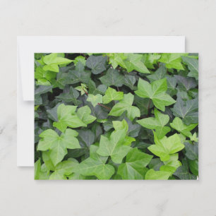 Carte Impression botanique verte Ivy