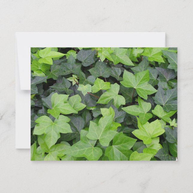 Carte Impression botanique verte Ivy (Devant)