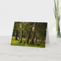 Impression de bois de chêne ancien