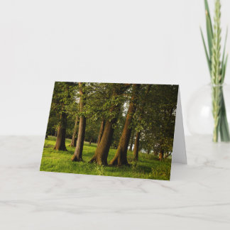 Carte Impression de bois de chêne ancien