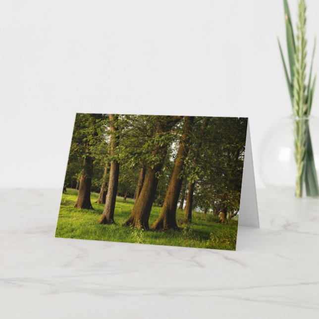 Carte Impression de bois de chêne ancien (Devant)