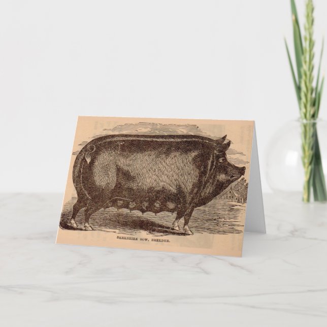 Carte Impression de porc du 19e siècle Berkshire semé no (Devant)