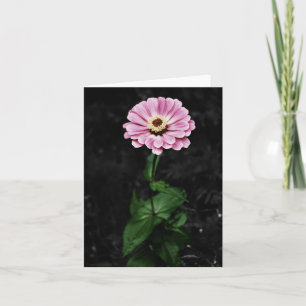 Carte Impression durable