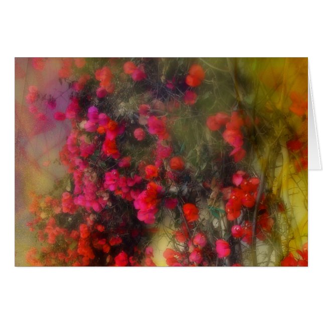 Carte impressionniste de Bougainvillea (Devant horizontal)