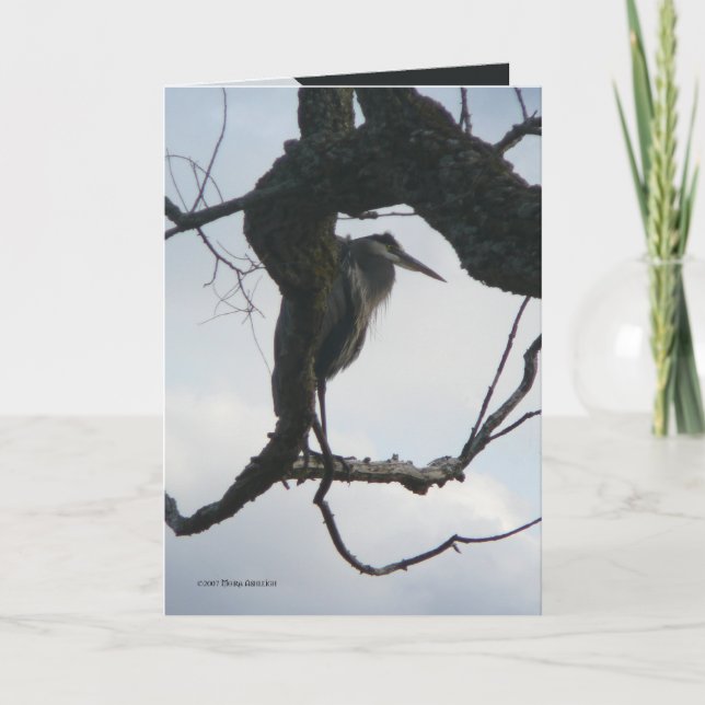 Carte In a Tree (Devant)