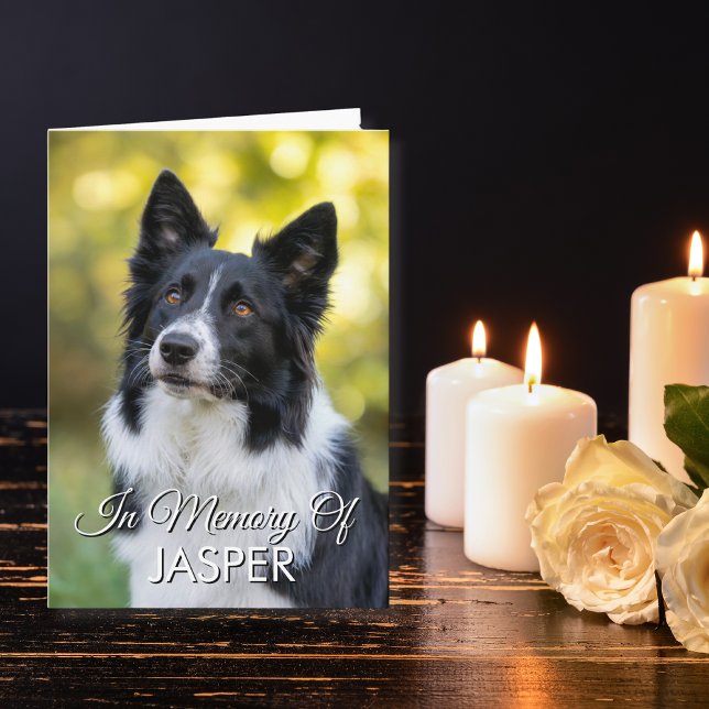 Carte In Memory Of Pet Memorial Sympathy Custom Photo (Pet Sympathy card by rose and candles)