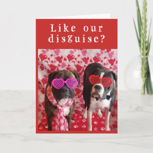 Carte **INCognito & timide** SOYEZ NOTRE VALENTIN ?