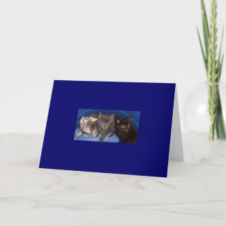 Carte Indie, Little Gray et Micah