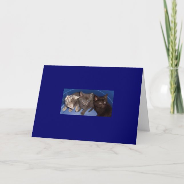 Carte Indie, Little Gray et Micah (Devant)