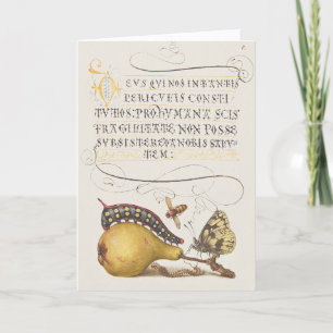 Carte Insectes de jardin, mouche, chenille, poire, mille