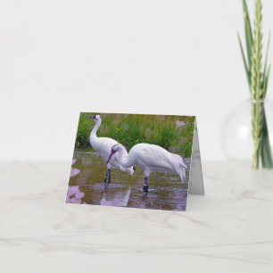 Carte Inséparables
