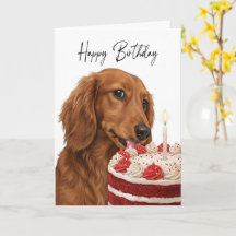 Inspecteur de gâteau d'anniversaire de teckel