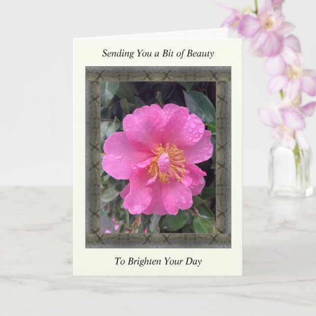 Carte Inspiration Get Well avec Camellia rose (Orchidée)