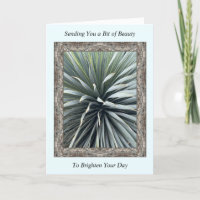 Inspiration Get Well Card avec un Yucca étonnant