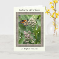 Carte Inspirationnelle Get Well avec papillon Mona