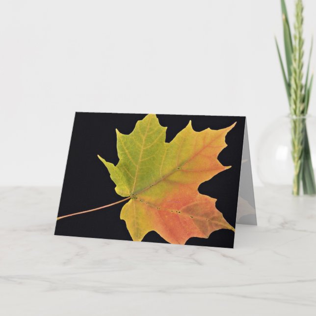 Carte Inspirer la feuille d'érable à sucre (Devant)