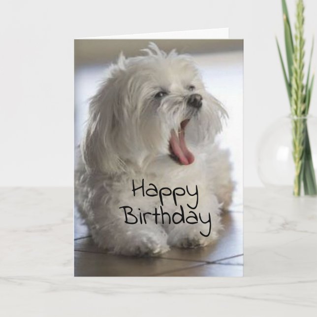 CARTE **INSTRUCTEUR DE DANSE** JEUX ANNIVERSAIRE (Devant)