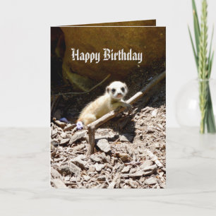 Carte Insy Winsy Baby Meerkat, Birthday