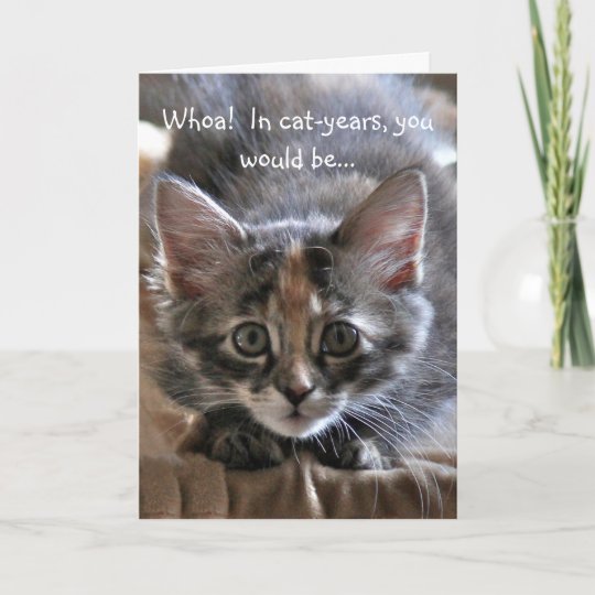 Carte Intense De Joyeux Anniversaire De Chaton Zazzle Fr