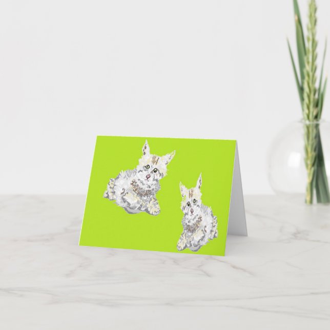 Carte / Intérieur vierge (Devant)
