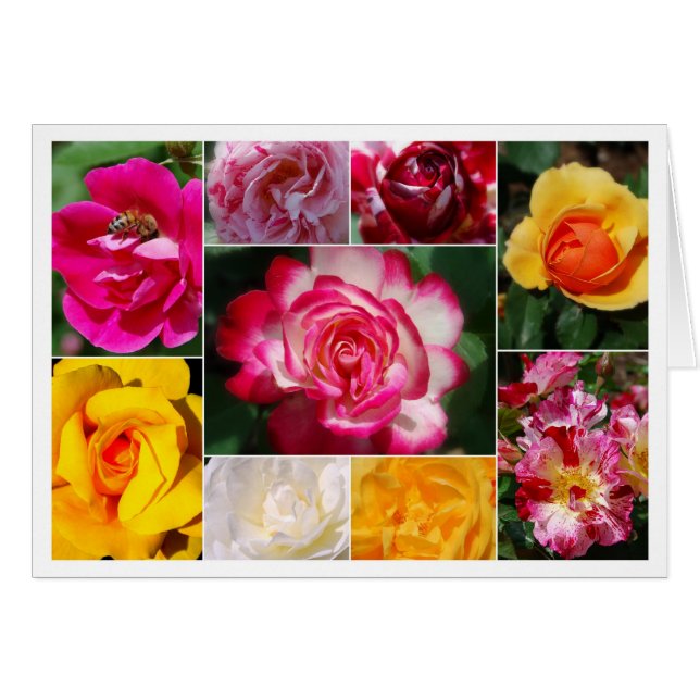 Carte intérieure jaune Collage rose (Devant horizontal)