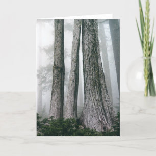 Carte Invoquer la forêt