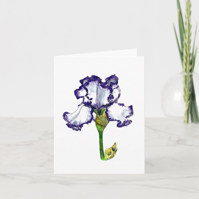 Carte Iris à poils violet et blanc (Devant)