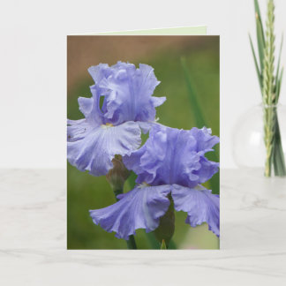 Carte Iris Délice