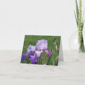 Carte Iris Floral Design