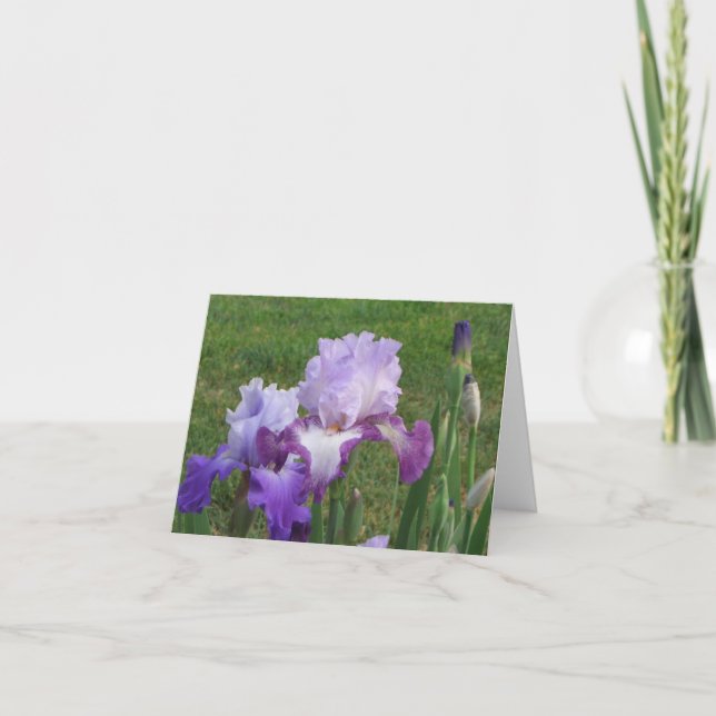 Carte Iris Floral Design (Devant)