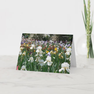 Carte Iris Garden - Joyeux anniversaire !