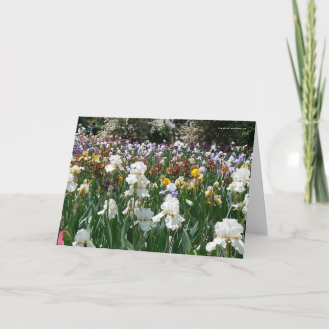 Carte Iris Garden - Joyeux anniversaire ! (Devant)