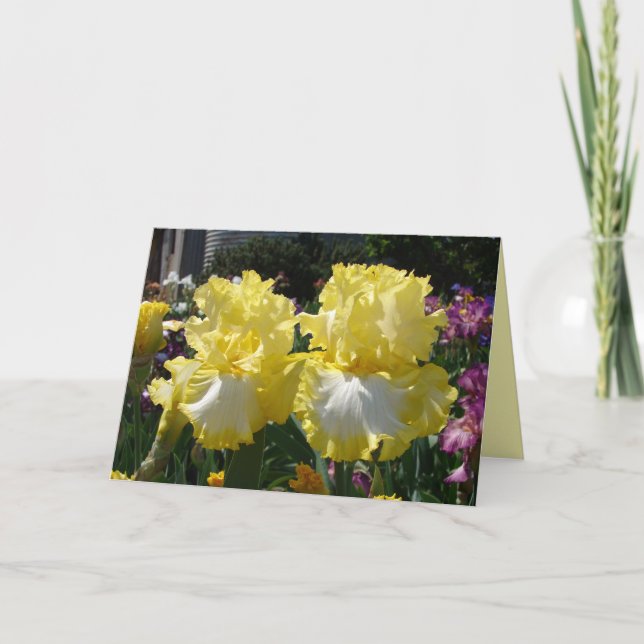 Carte Iris iris fleurs florales Fleur à harnais jaunes (Devant)