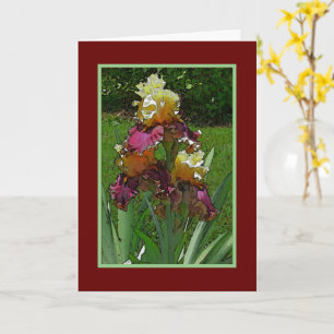 Carte Iris/Jaune Et Bourgogne/Joyeux Anniversaire