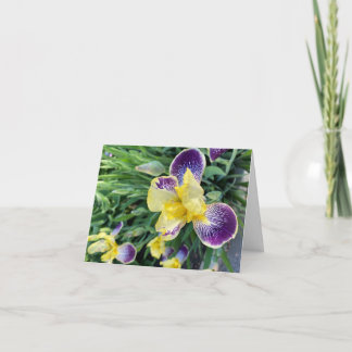 Carte Iris par Pretty