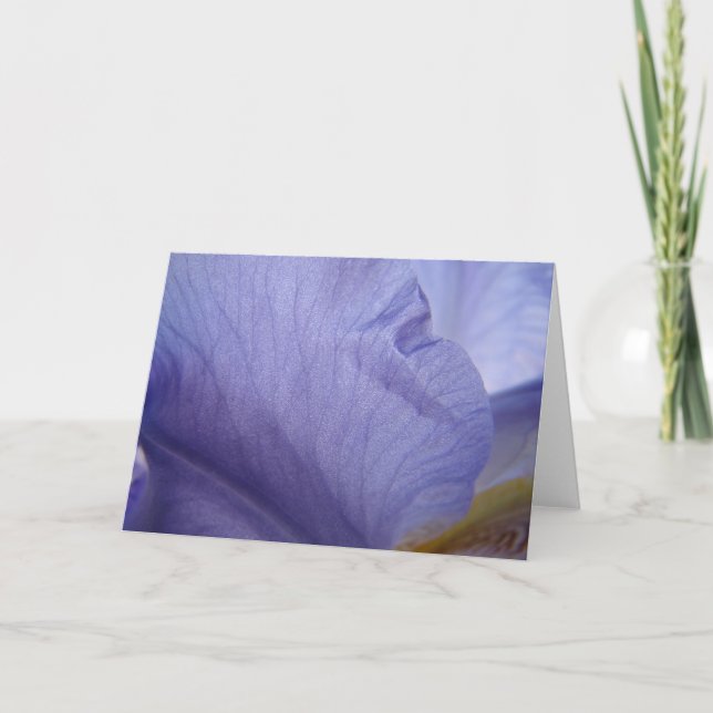 Carte Iris Petal (Devant)
