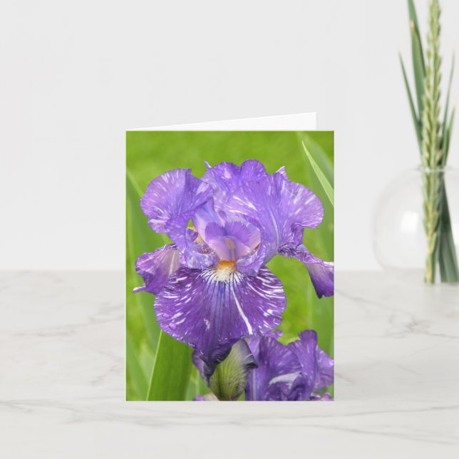 Carte Iris pourpre (Devant)